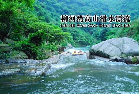 新余市渝水区“1·24”火灾事故新闻发布会现场，集体为遇难人员默哀